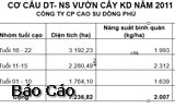 Diện tích vườn cây kinh doanh năm 2011