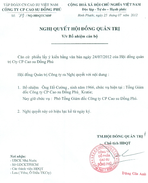 Nghị quyết bổ nhiệm Phó Tổng Giám đốc