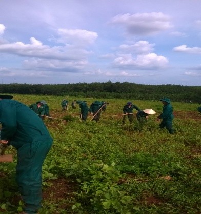 Đoàn cơ sở Nông trường Thuận Phú với công trình thanh niên 2014