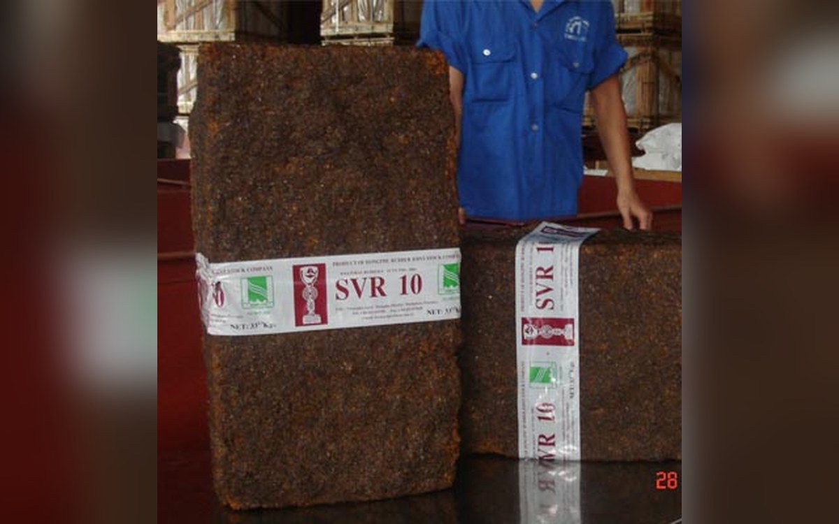 SVR 10